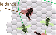 swarm_intelligence_bee.jpg