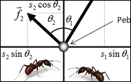 quantum_cooperation.jpg