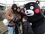 kumamon_web.jpg